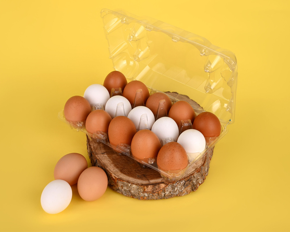 egg-tray